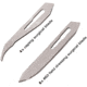 Outdoor Element Field Feather Blades 10pk, ODEFFRB