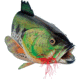 Outside Inside Large Mouth Bass Birdhouse 99806
