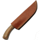 Pakistan Saddlewood Skinner, PA203506