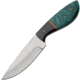 Pakistan Verdant River Hunter, PA203521