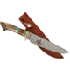 Paladin Fixed Blade Knife - Mountain Man Engraving, 5in, Stainless Steel, Bowie, Brown Crown Stag Handle, PE-CS-8503-MM