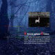 PARD Optics SA62 Thermal Imaging 1-4x45mm Rifle Scope w/LRF, OLED, 640x480, 30Hz, Black, SA62-45 w/LRF