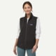 Patagonia Patagonia Womens Classic Microdini Vest, 23175-BCW-L