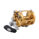 Penn Fishing International VISW Conventional Reel, 3.5/1 / 1.3/1, Right, 50, Gold, INT50VISW