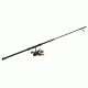 Penn Fishing SSV6500102H/SSV6500 10FT 2PC H CBO 1338224