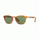 Persol PO3110S Single Vision Prescription Sunglasses PO3110S-96-4E-49 - Lens Diameter 49 mm, Frame Color Havana