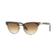 Persol PO3198S Prescription Sunglasses PO3198S-107351-51 - Lens Diameter 51 mm, Frame Color Dark Tortoise Brown