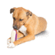 Petsafe Busy Buddy Ultra Super Sub, White/Purple, Small, BB-ULT-SUB-S
