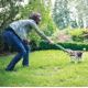 Petsafe Elite Little Dog In-Ground Fence Receiver w/Collar, For Dogs 5lbs and Up/Fits Neck Size 6-16in PIG19-11042