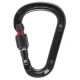 Petzl Attache Screw-Lock Carabiner, Black, M038AA02