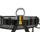 Petzl Falcon Lightweight Rescue Harness, 2, C038AA02