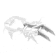 Petzl M10 Crampon Accessory Kit, One Size, T23800