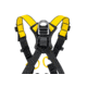 Petzl Newton International Harness, Black/ Yellow, 2, C073BA02