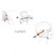 Petzl Panga Helmets - 5 Pack, White, A030AA01