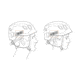 Petzl Panga Helmets - 5 Pack, White, A030AA01