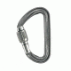 Petzl Spirit Screw-Lock Carabiner M53A SL