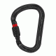 Petzl William Carabiner, Black, Screw-Lock, M36A SLN