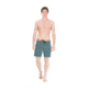 Picture Bemaraha 17 Boardshorts - Mens, DarkGreen, 32, MBS034-A-32