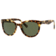 Polaroid X 8408/S Single Vision Prescription Sunglasses X8408S-00BM-0P-5420 - Frame Color Havana, Lens Diameter 54 mm
