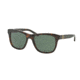 Polo PH4090 Progressive Prescription Sunglasses PH4090-500371-54 - Lens Diameter 54 mm, Frame Color Havana