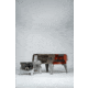 Portable Propane Fire Pit Howl Campfires All-Season Campfire Bundle, All Season Bundle