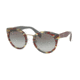 Prada PR05TS Single Vision Prescription Sunglasses, 53mm, Sheaves Bordeaux Green, PR05TS-VAP0A7-53-SV