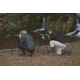 Praktica Highlander Angled Spotting Scope 20-60x80mm w/ Tripod, Green PRA120