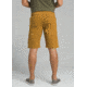 prAna Stretch Zion Short - Mens, Bronzed, 28 Waist, 10 inch Inseam, M3ST10117-BRZD-28