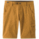 prAna Stretch Zion Short - Mens, Bronzed, 28 Waist, 10 inch Inseam, M3ST10117-BRZD-28
