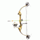 Precision Shooting Equipment Discovery Muzzy Bowfishing Kit / Right Handed, Yellow, 1714BZRYL3040