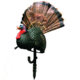 Primos Hunting Chicken On A Stick Decoyss, 69067