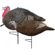 Primos Hunting Gobstopper Decoy Jake &amp; Hen Combo, Box, 69064