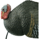 Primos Hunting Killer B Turkey Decoy, Box, 69021