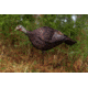 Primos Hunting Photoform Hen Decoy, Box, 69068