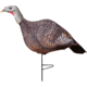 Primos Hunting Photoform Hen Decoys, 69068