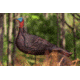 Primos Hunting Photoform Jake Decoy, Box, 69069
