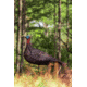 Primos Hunting Photoform Jake Decoy, Box, 69069
