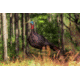 Primos Hunting Photoform Jake Decoy, Box, 69069