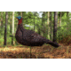 Primos Hunting Photoform Jake Decoy, Box, 69069