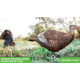 Primos Hunting Photoform Leading Hen Turkey Decoy, Box, 69070