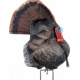 Primos Hunting Photoform Strutter Decoys, 69072