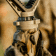 Primos Hunting Trigger Stick Vantage Bipod