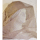 Pro Ears Bucket Hat