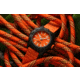 ProTek Aggressor Carbon Composite Dive Watch