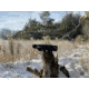 OpticsPlanet Exclusive Refurbished, Pulsar Helion XP50 2.5-20x42mm Thermal Imaging Monocular, Black, PL77405