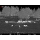 Pulsar Telos LRF XP50 Thermal Monocular, PL77492