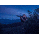 Pulsar Talion XQ38 2.5-10x Thermal Imaging Riflescope, 384x288, Multi Reticle, Black, PL76561U