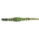 Quake CLAW CONTOUR FLUSH CUP SLING CAMO, 53016-9