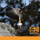 QuickSurvive Fire Starter 12 Pack