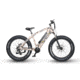 QuietKat Ambush 750W Rugged Fat Tire Electric Mountain Bike, Camo, Large 19in Frame, 19 Q M 0750 C C H M CAM